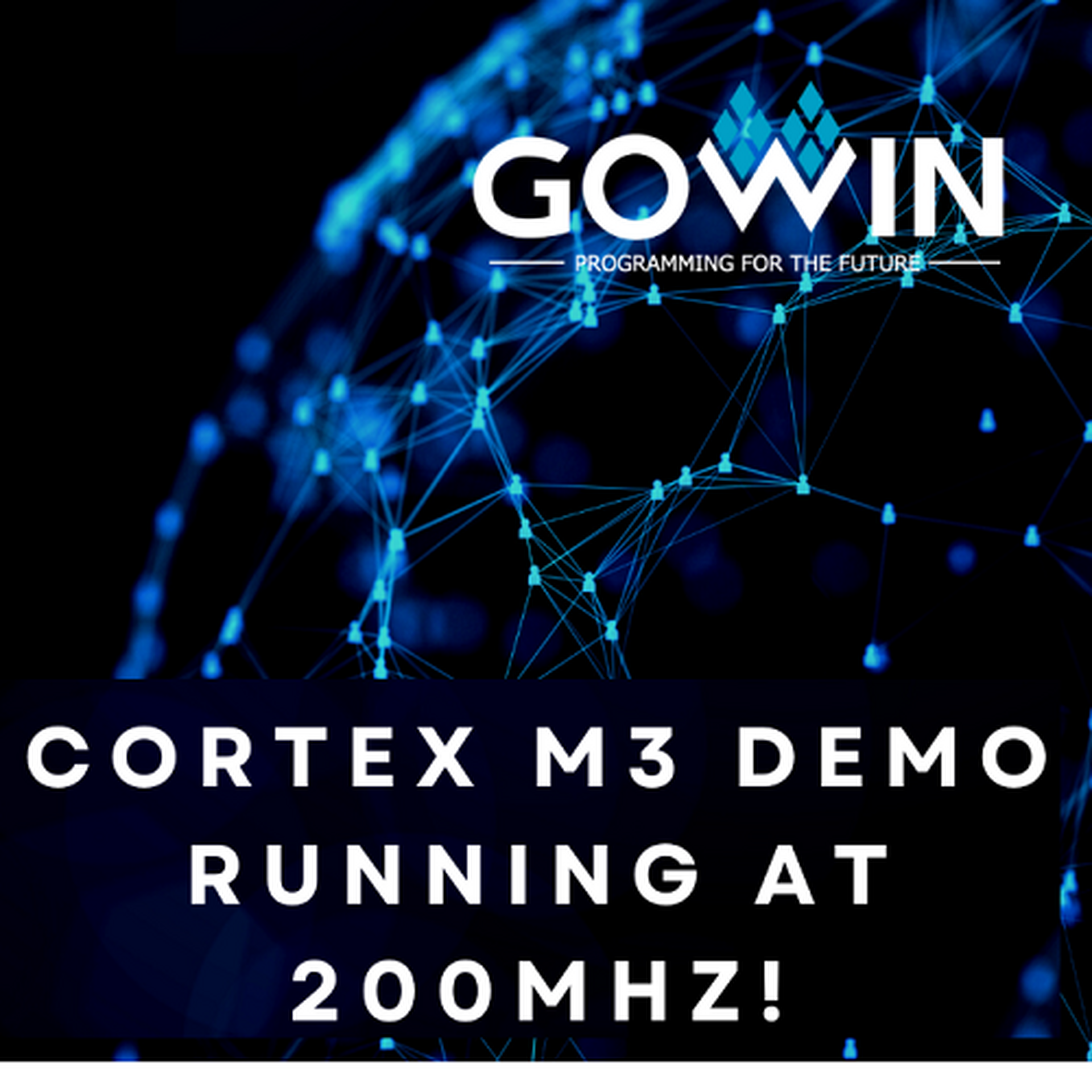 Gowin Cortex m3 demo